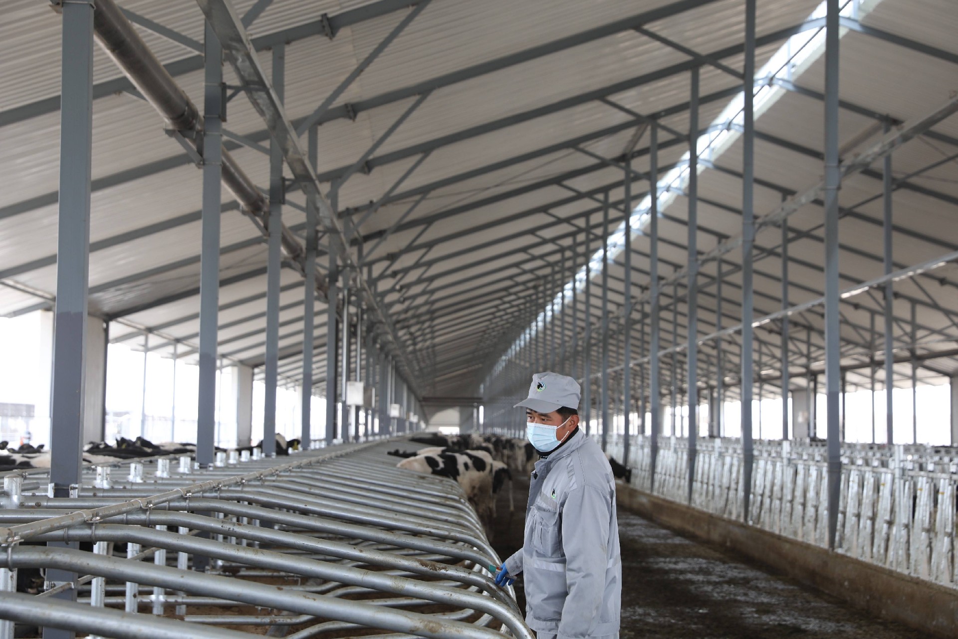 畜牧养殖业空气源热泵采暖项目