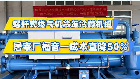 螺杆式燃气机冷冻冷藏机组-屠宰场福音-成本直降50%