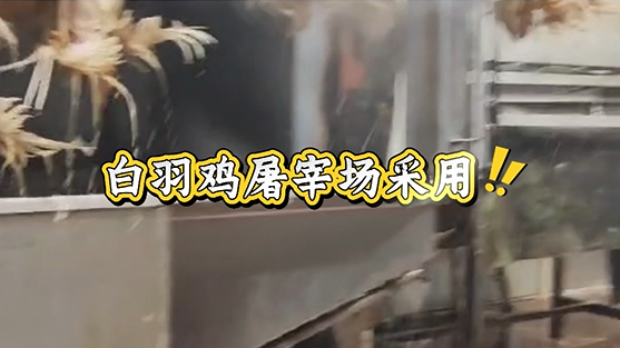 白羽鸡屠宰场热水方案，超高效热水机组年省近46万